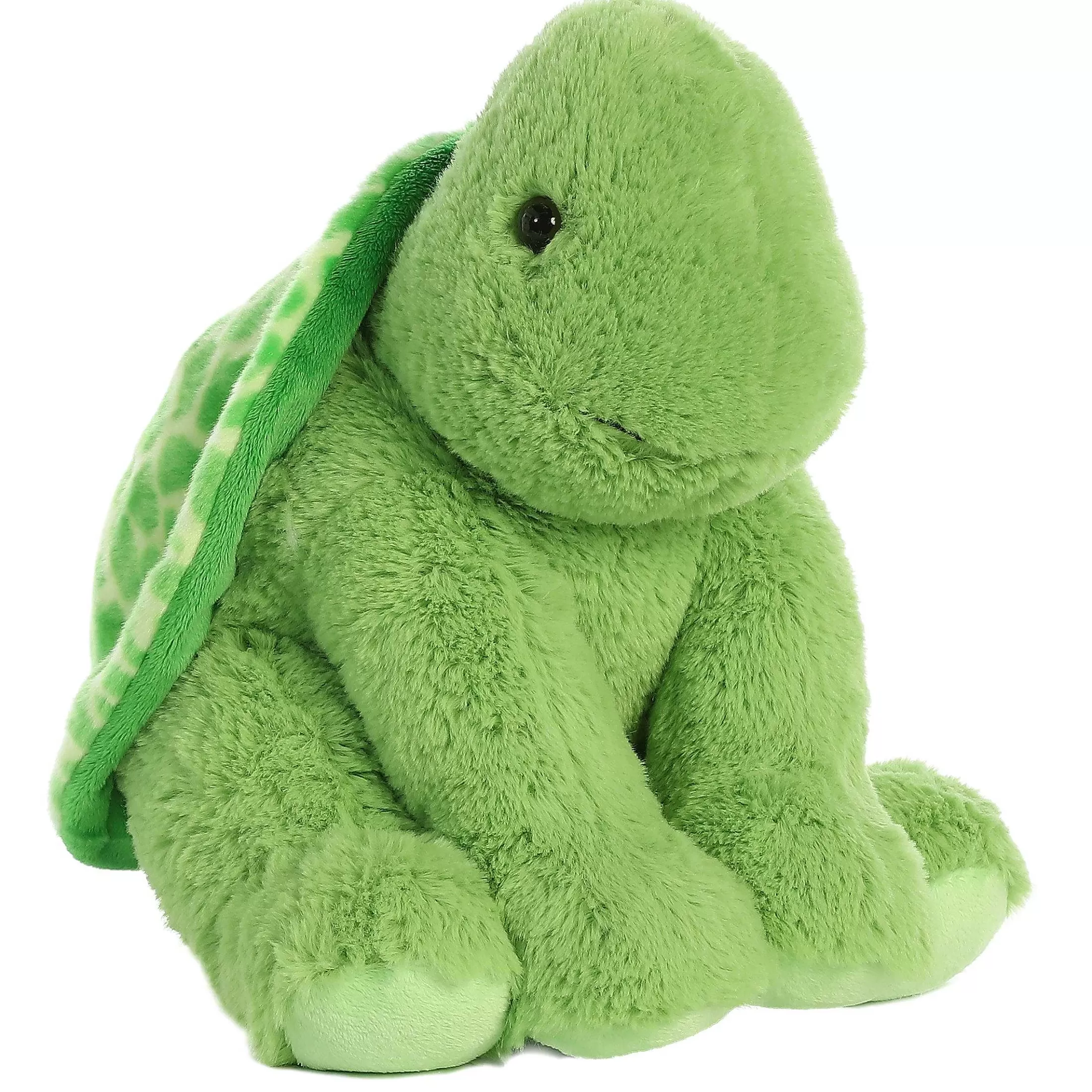 Aurora® - 14" Turtle