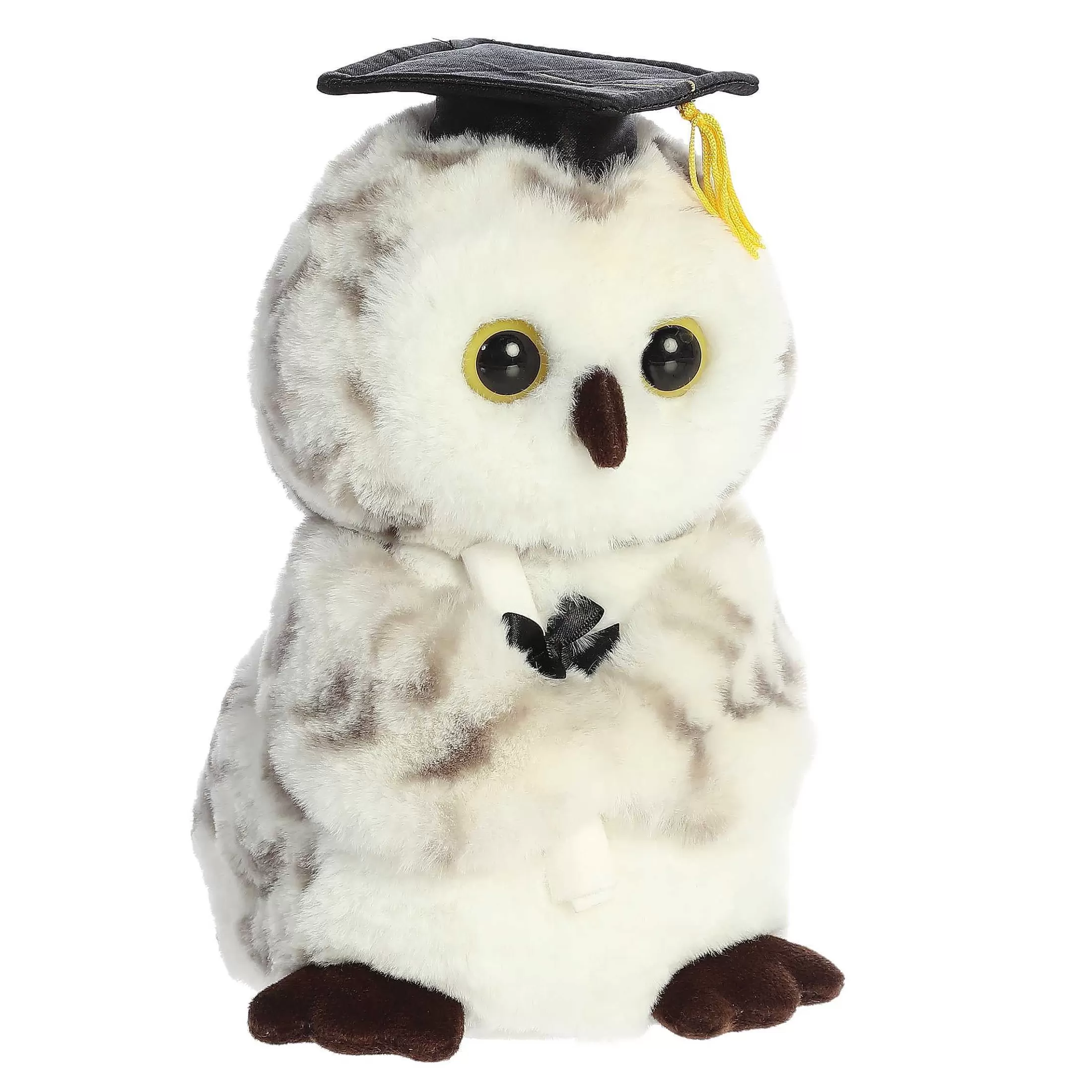 Aurora® - Graduation - 9" Smart Owl