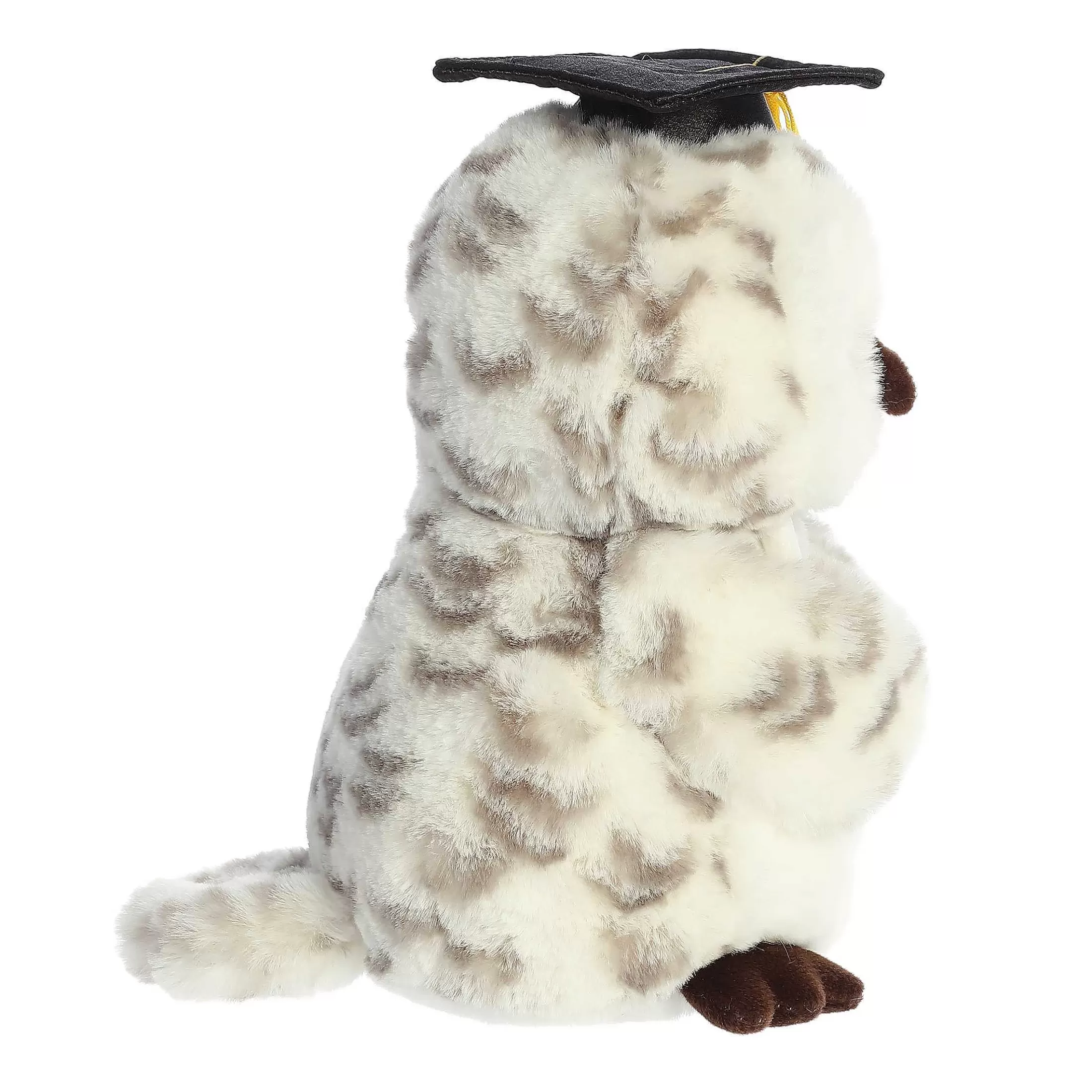 Aurora® - Graduation - 9" Smart Owl