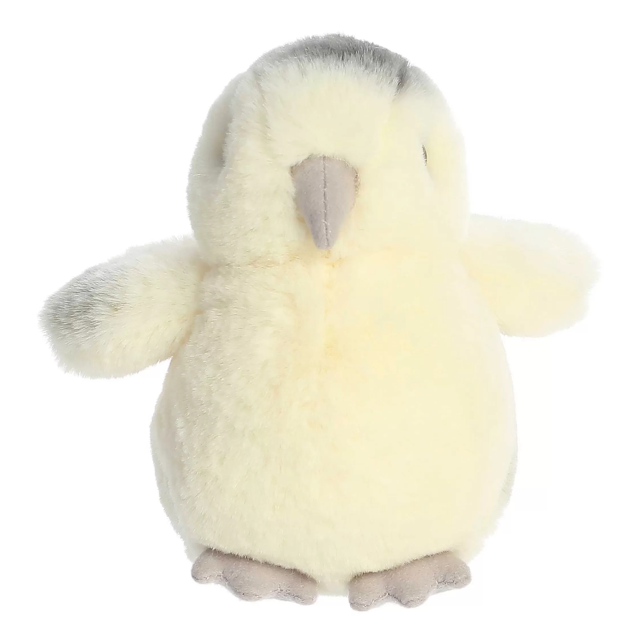 Aurora® - Mini Flopsie - 8" Ameraucana Chick