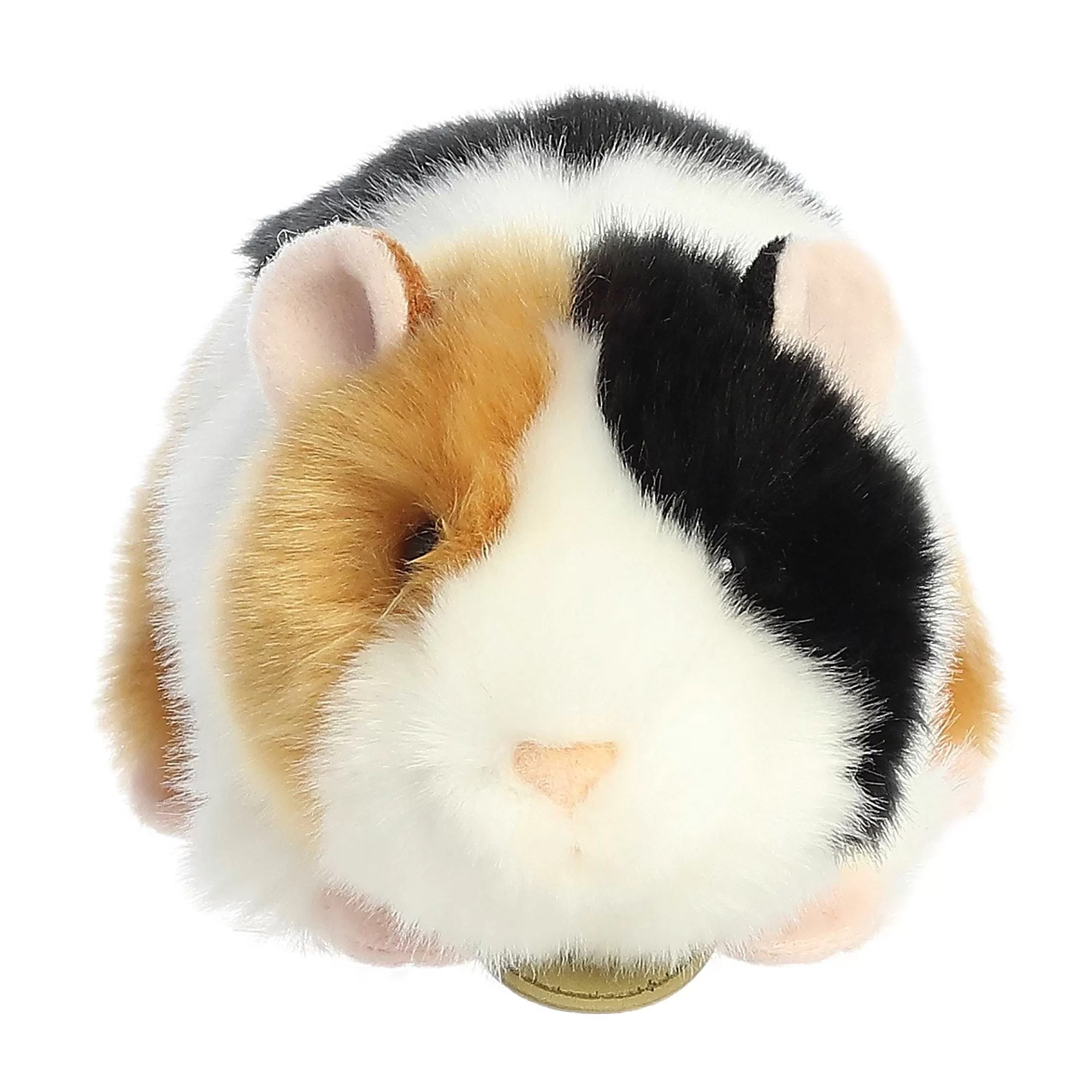 Aurora® - Miyoni® - 7.5" American Guinea Pig