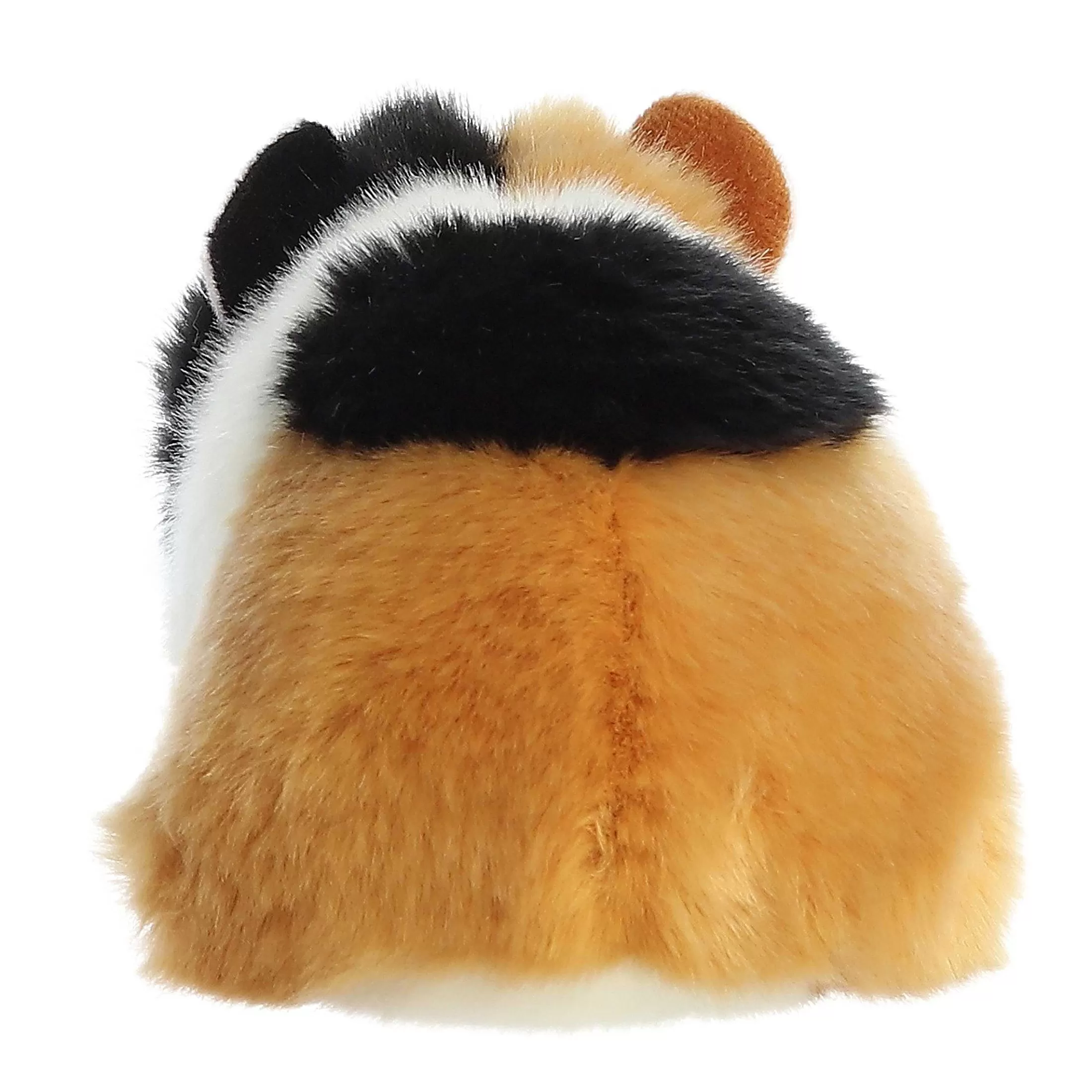 Aurora® - Miyoni® - 7.5" American Guinea Pig