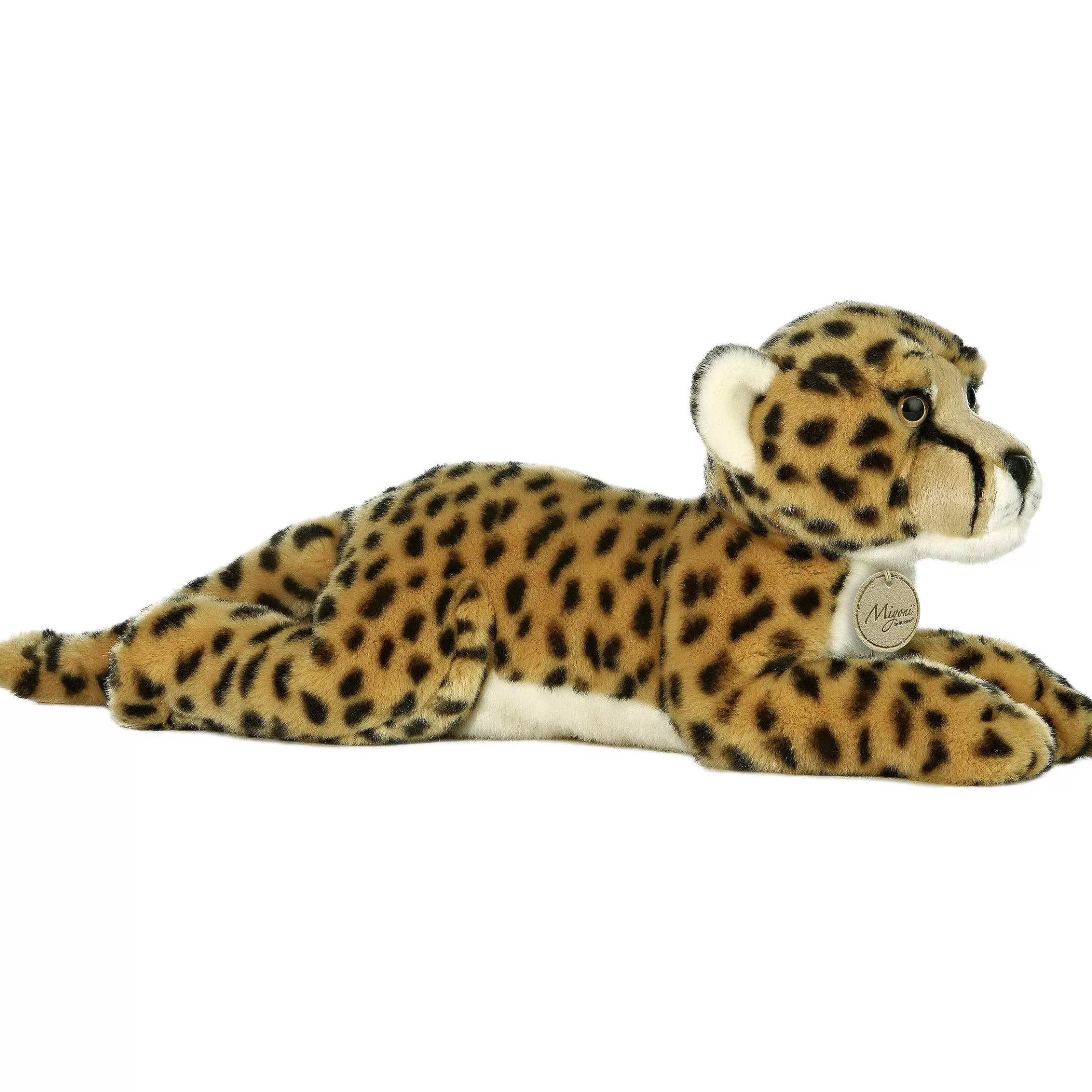 Aurora® - Miyoni® - Cheetah