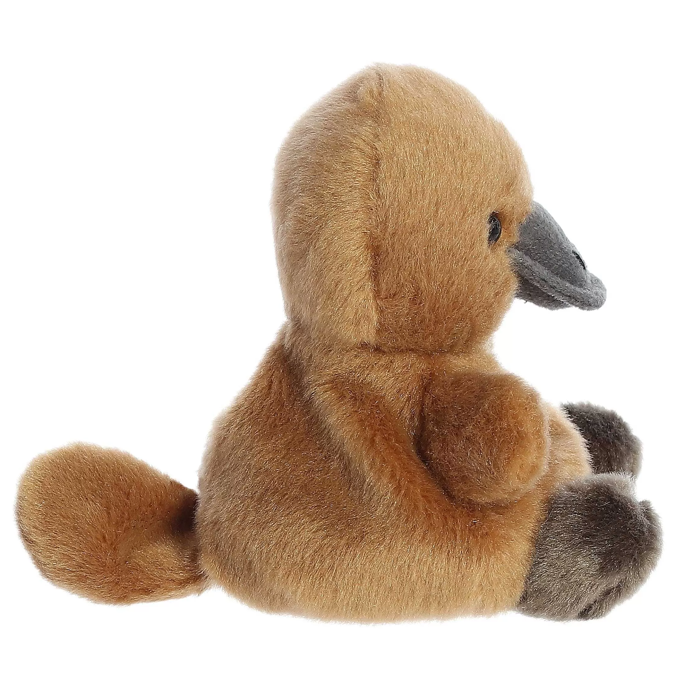 Palm Pals™ Aurora® - Palm Pals - 5" Patty Platypus