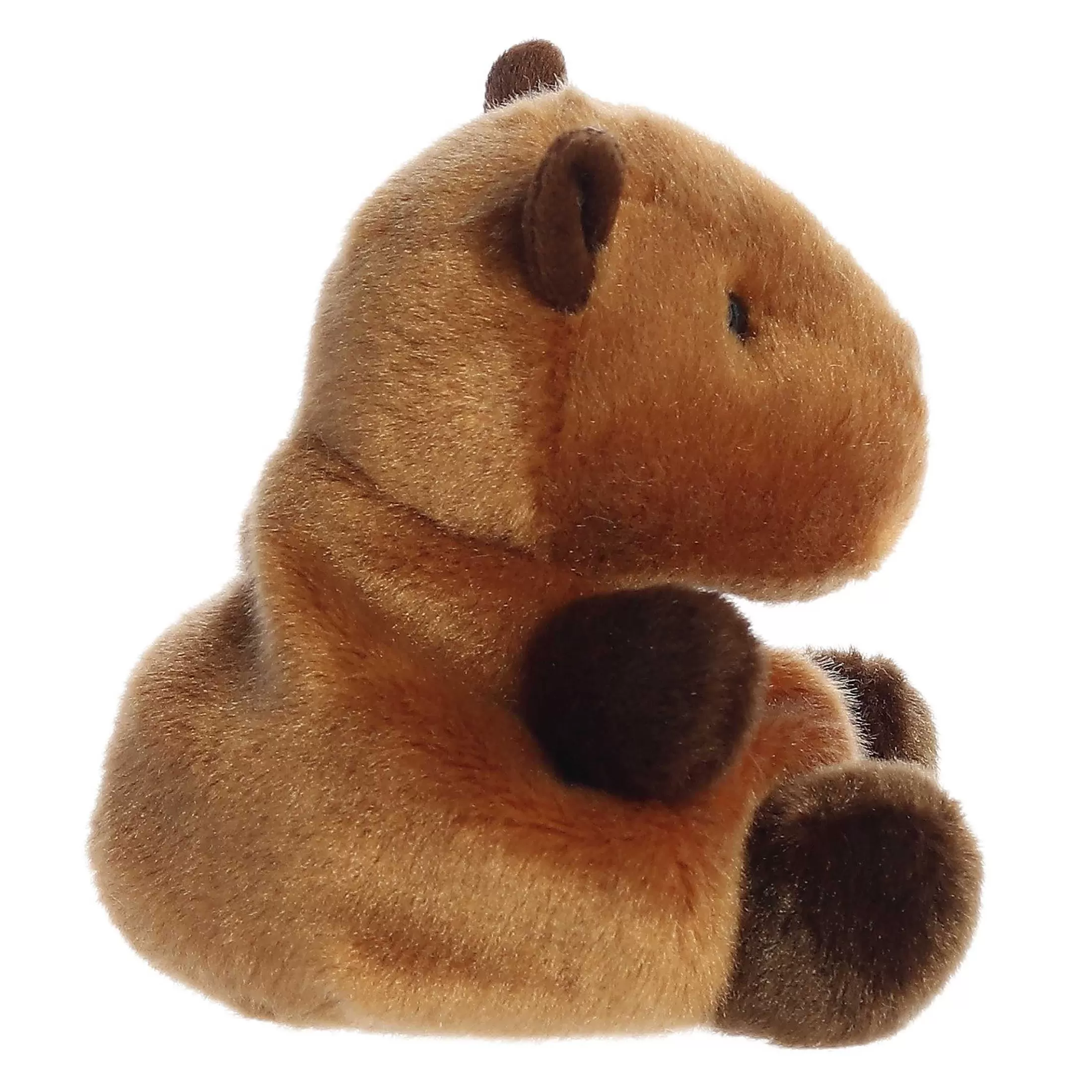 Palm Pals™ Aurora® - Palm Pals - 5" Sid Capybara