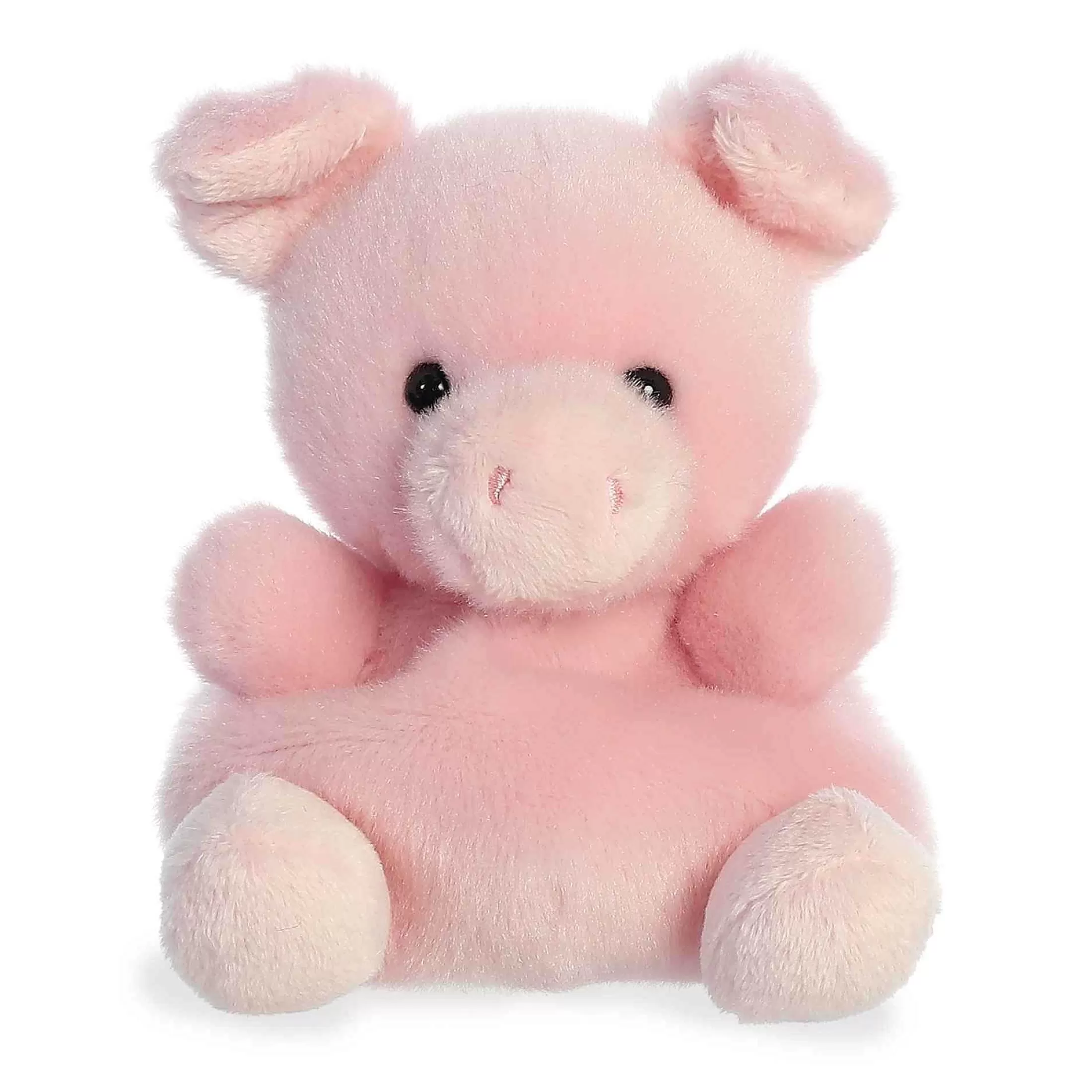 Palm Pals™ Aurora® - Palm Pals - 5" Wizard Pig