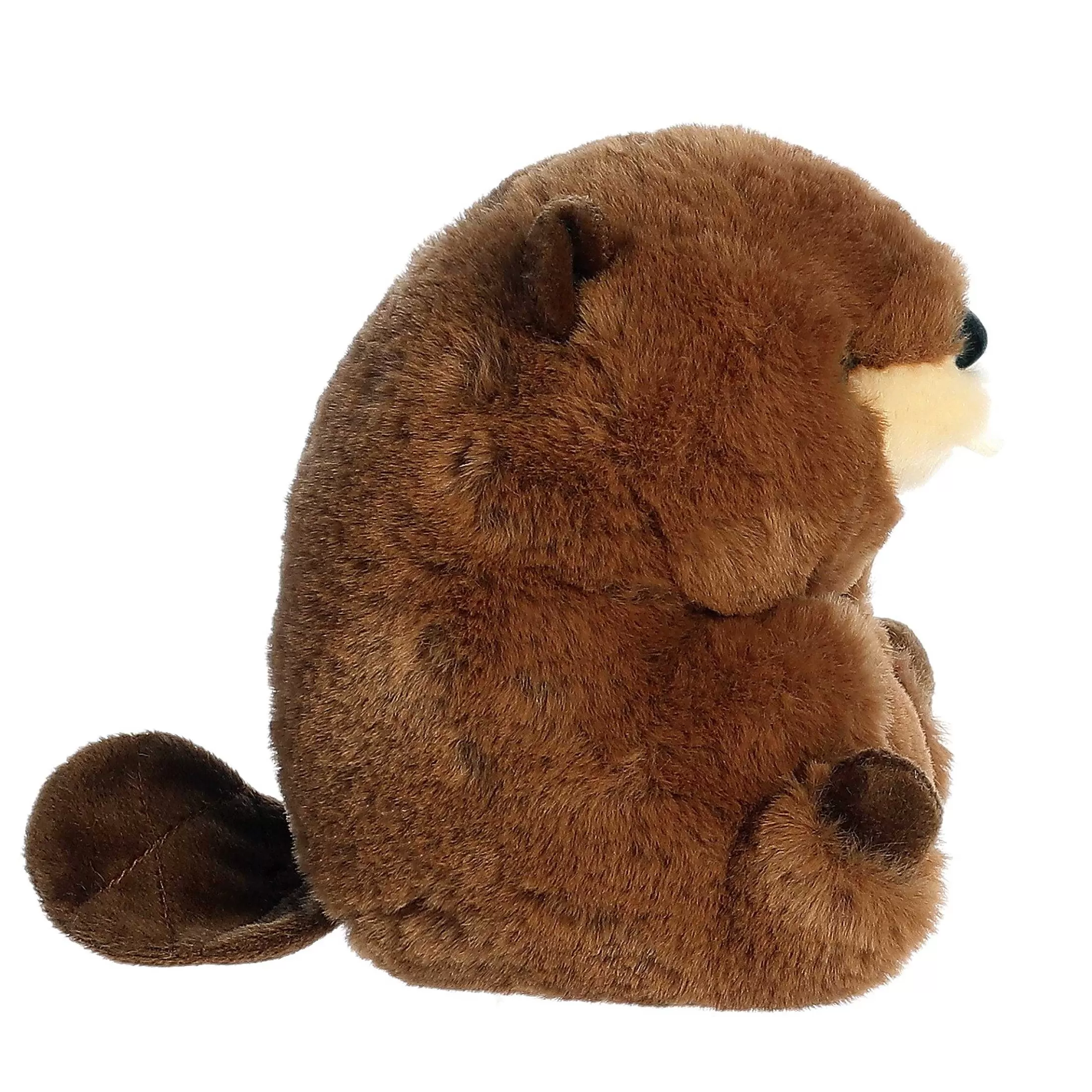 Aurora® - Rolly Pet - 5" Beethoven Beaver