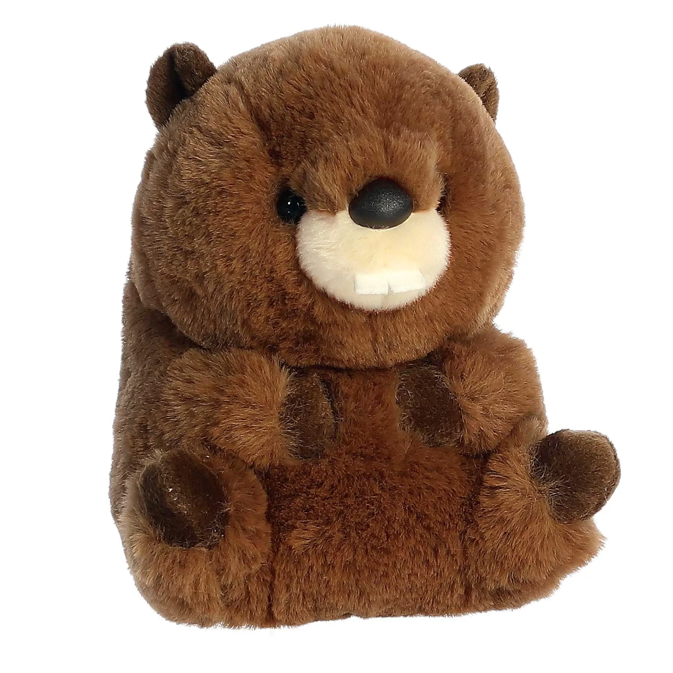 Aurora® - Rolly Pet - 5" Beethoven Beaver