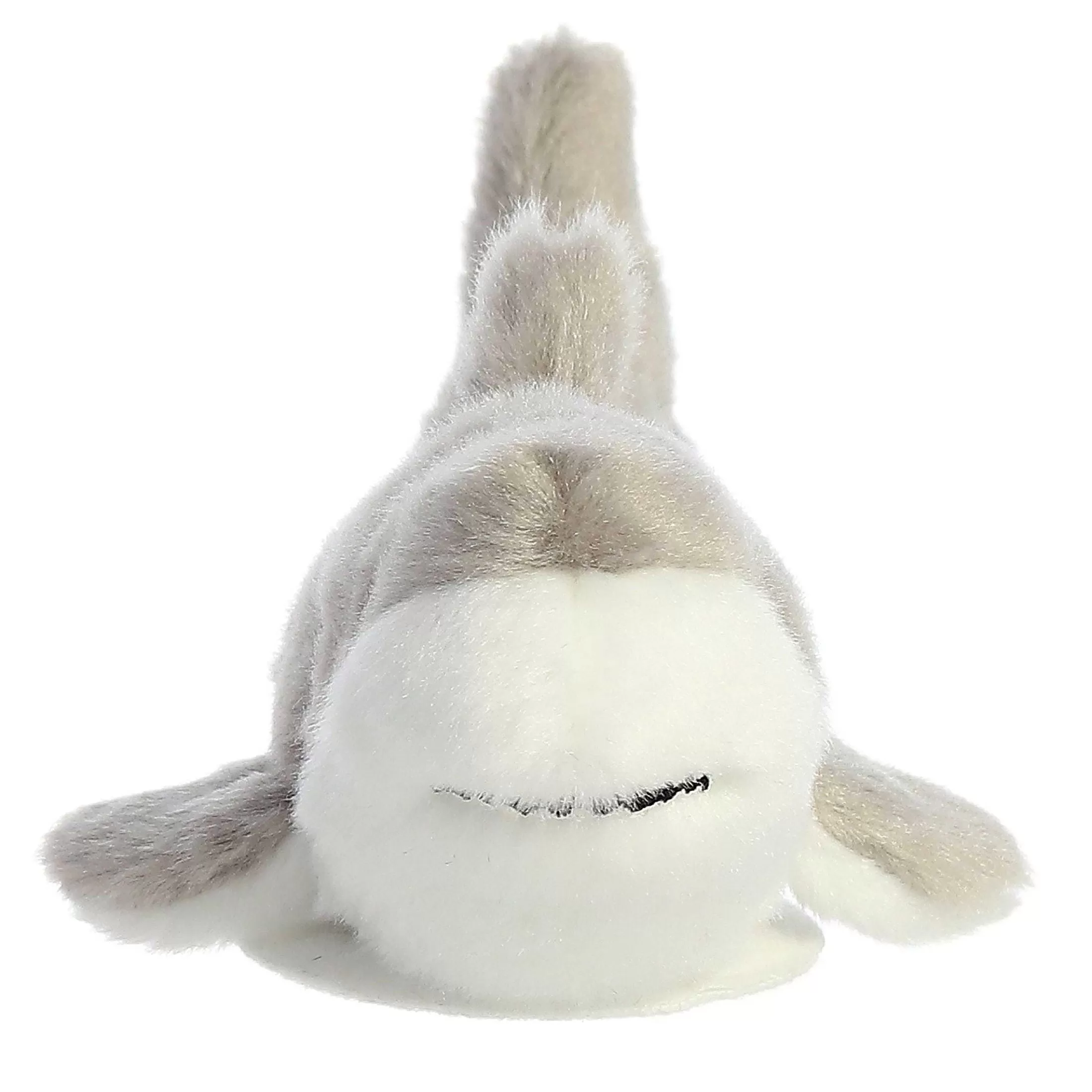 Aurora® - Shoulderkins - 6" Titan Shark